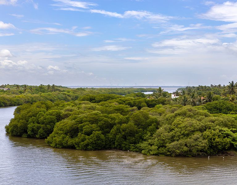 The Waterfront Hotel and Choy's Restaurant
